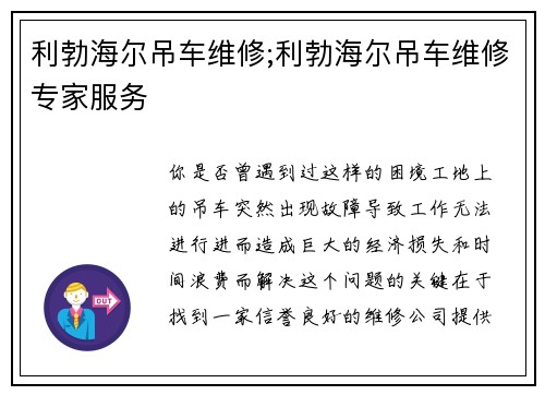 利勃海尔吊车维修;利勃海尔吊车维修专家服务
