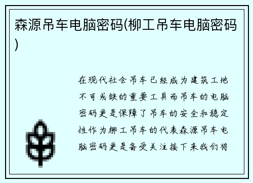 森源吊车电脑密码(柳工吊车电脑密码)