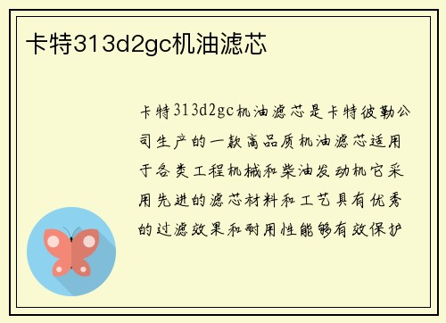 卡特313d2gc机油滤芯