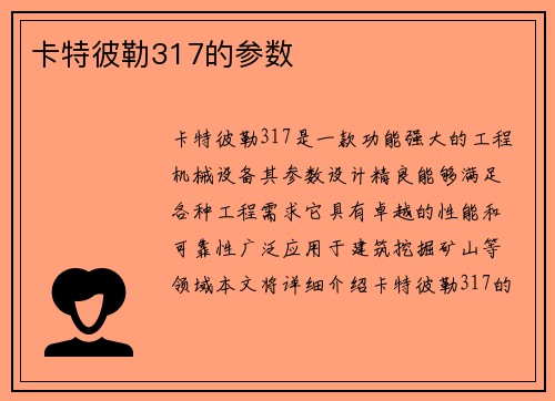 卡特彼勒317的参数